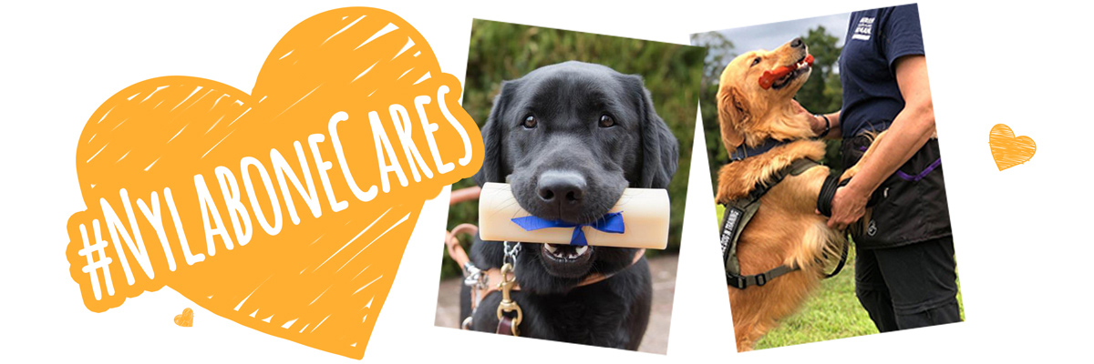 Nylabone Cares yellow heart logo and guide dogs