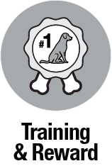 Training