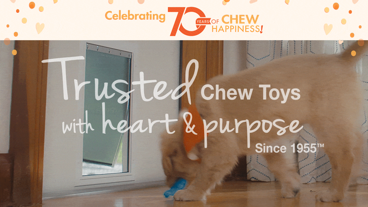 Nylabone Heart and Purpose