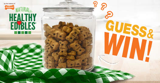 how-many-biscuits-are-in-the-jar