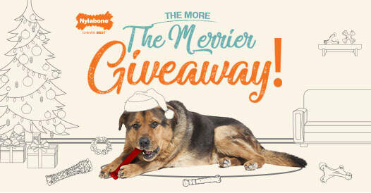 the-more-the-merrier-giveaway