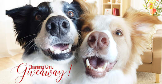 gleaming-grins-giveaway