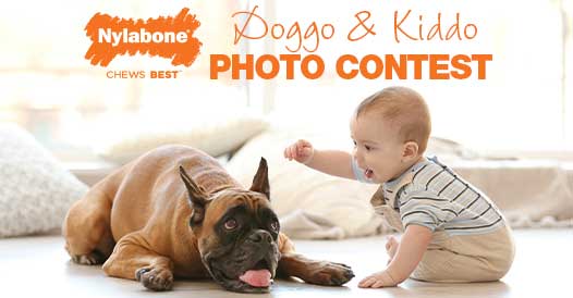 doggo-kiddo-photo-contest