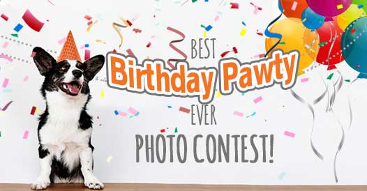 dogust-birthday-contest