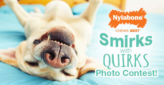 smirks-with-quirks-photo-contest