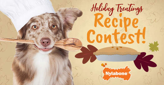 holiday-treatings-recipe-contest