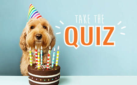 Dog Years Calculator