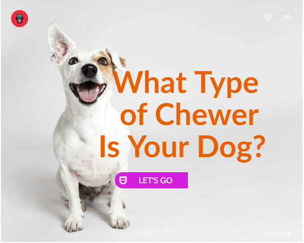 chew-style-quiz