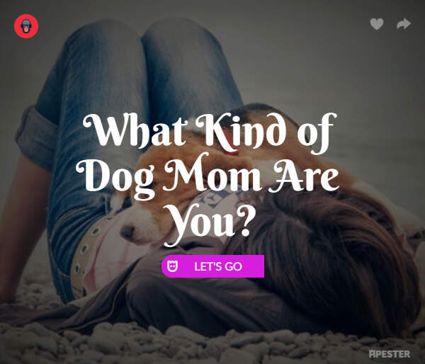 dog-mom-quiz