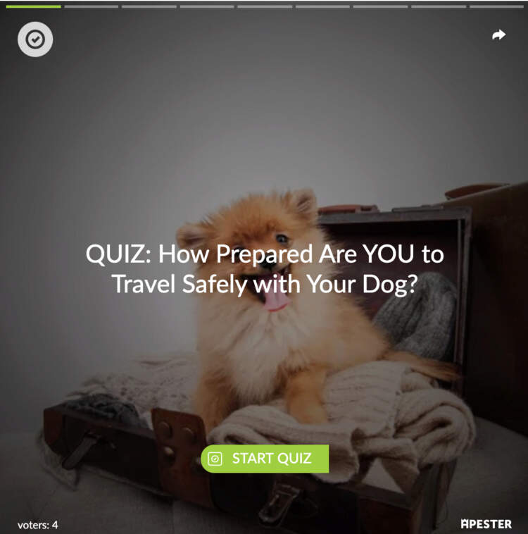 travel-safety-quiz