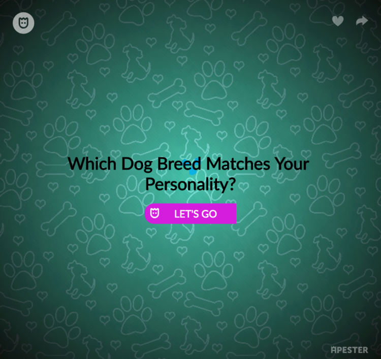 Which Dog Breed Matches Your Personality?