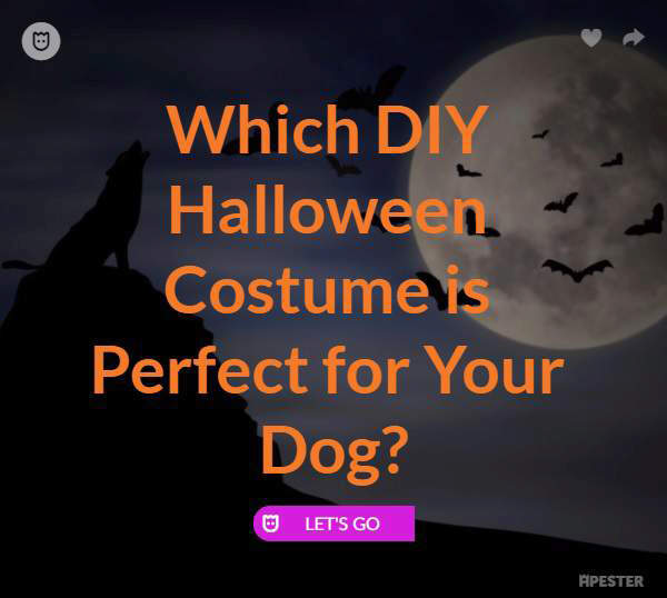 DIY Dog Costume