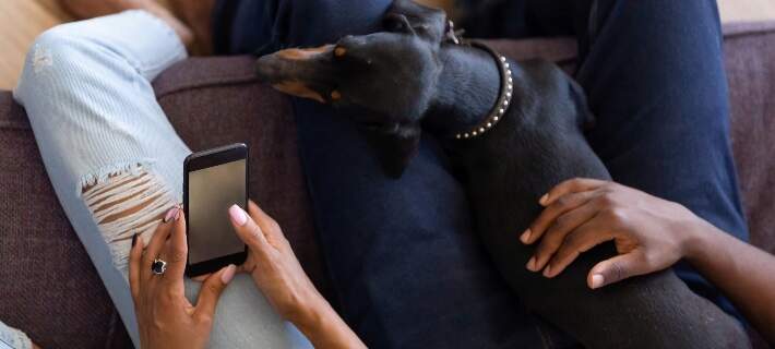 woman holding phone by dog 