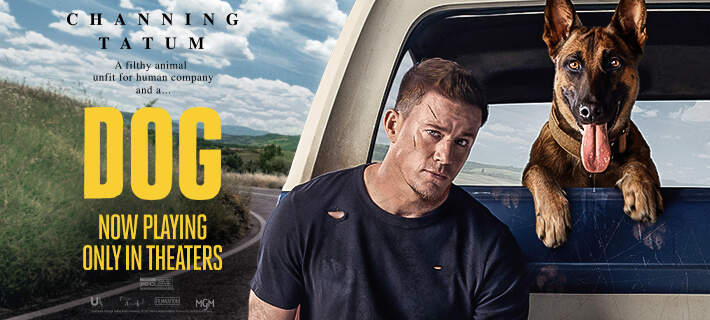 channing tatum dog movie