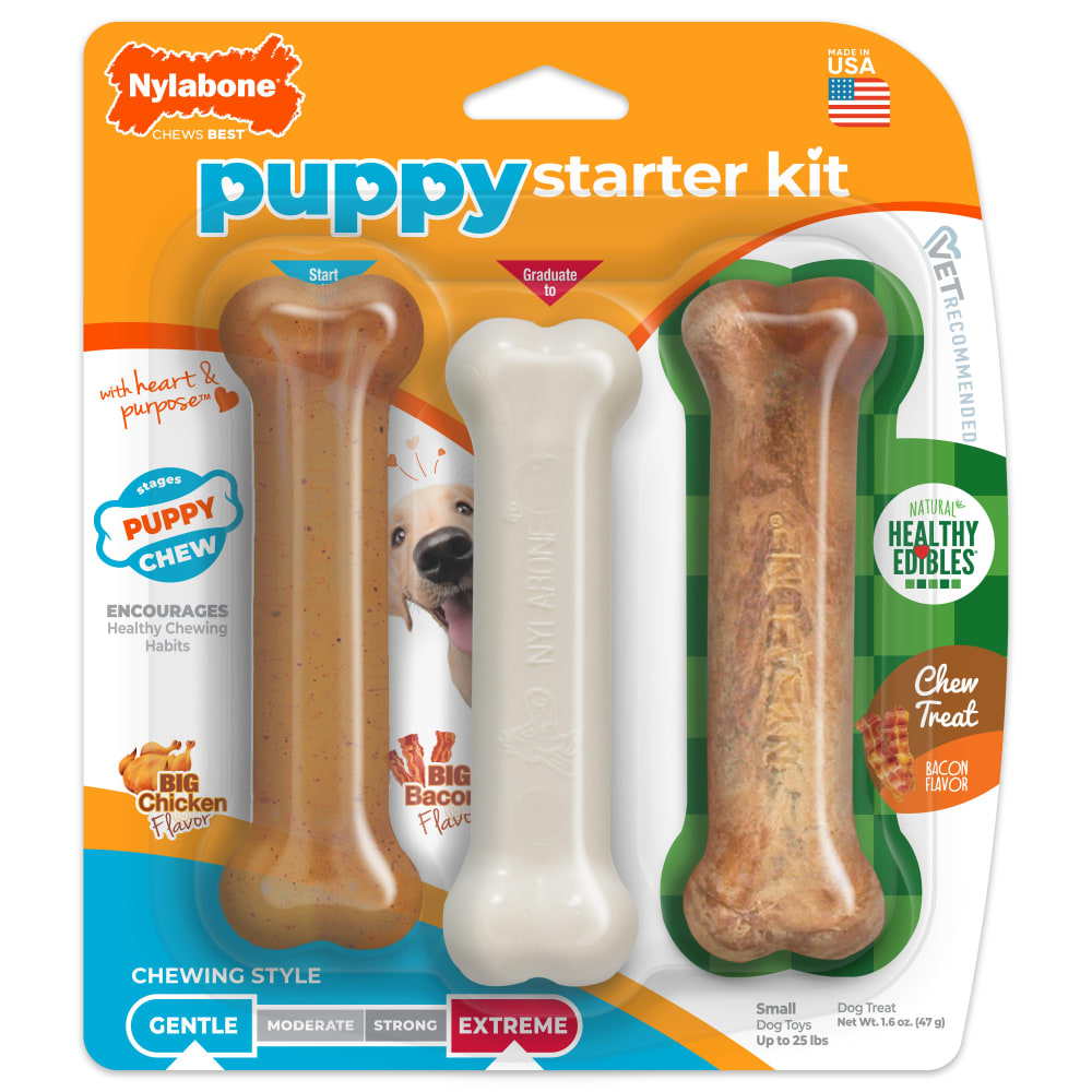 018214812913-nylabone-puppy-starter-kit-regular-3ct-inpackagingfront