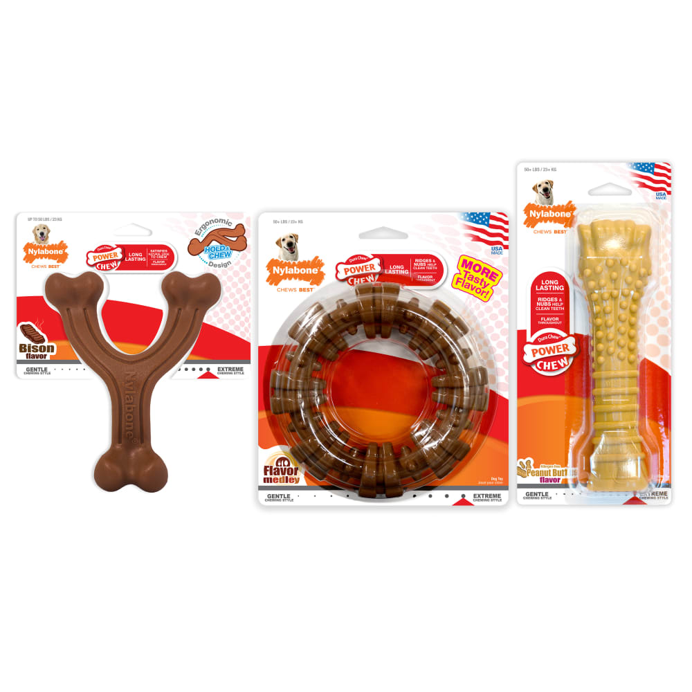 018214848806-nylabone-customerfavoritepowerchewbundle-inpackagefront