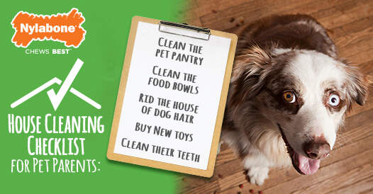 The Ultimate Spring Cleaning List for Dog Parents The Ultimate Spring Cleaning List for Dog Parents