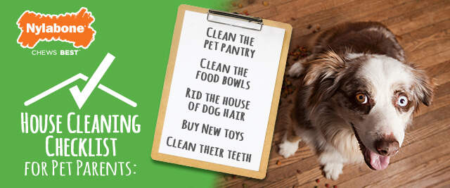 Nylabone House Cleaning Checklist For Pet Parents graphic with clipboard and dog.