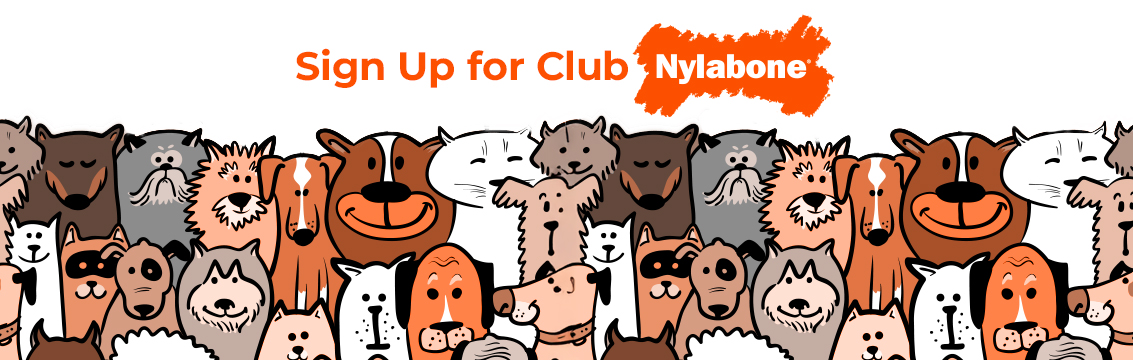 club-nylabone