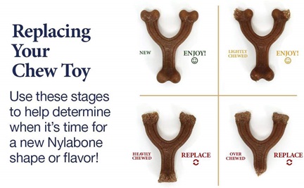 https://www.nylabone.com/-/media/project/oneweb/nylabone/images/about-us/faq/when-to-replace-your-chew-toy.jpg?h=267&w=432&hash=CEC371A2EBF1BC233AE803028D7996D7