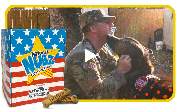 U.S. service member with a military dog beside Nubz red white blue gift box