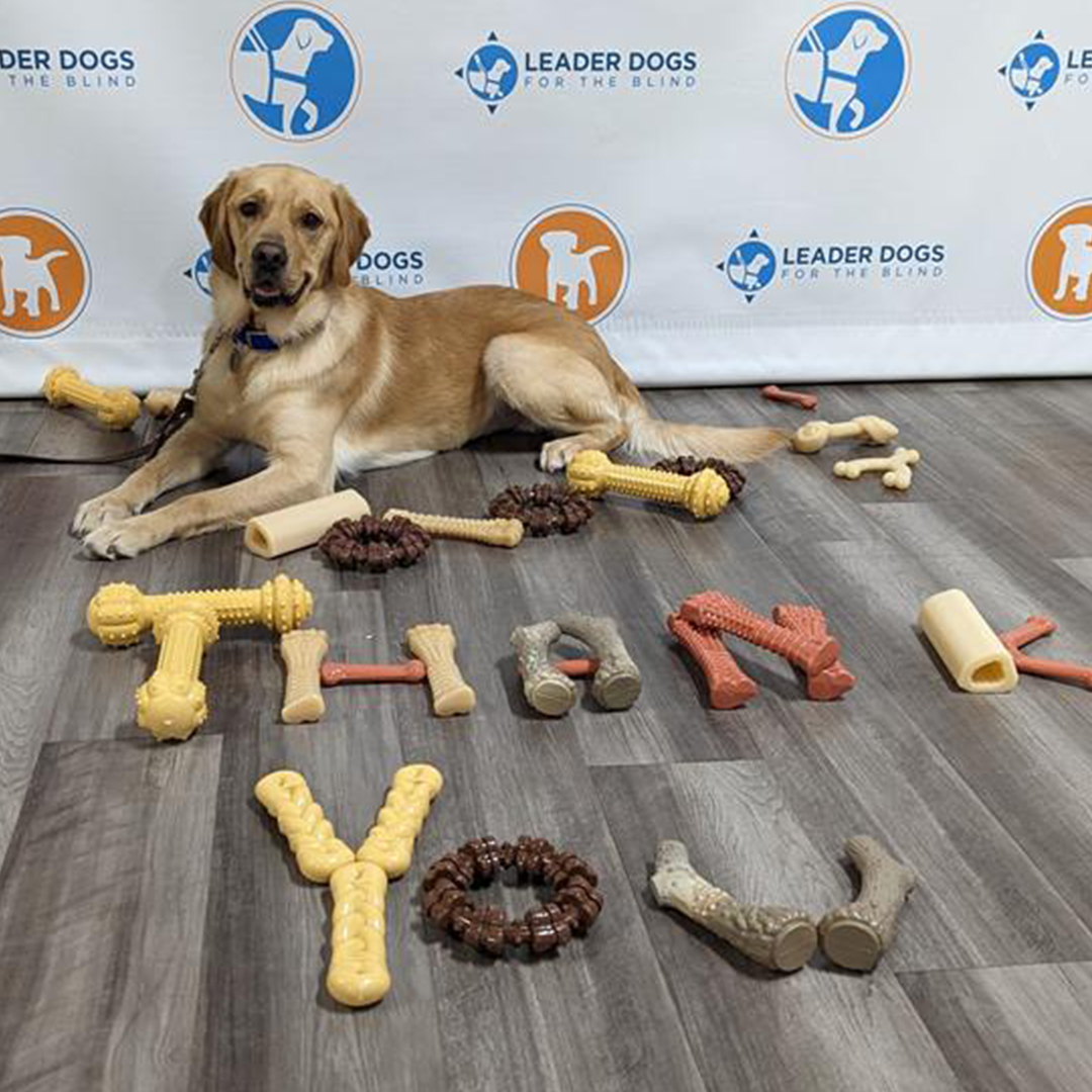 Nylabone Cares graphic