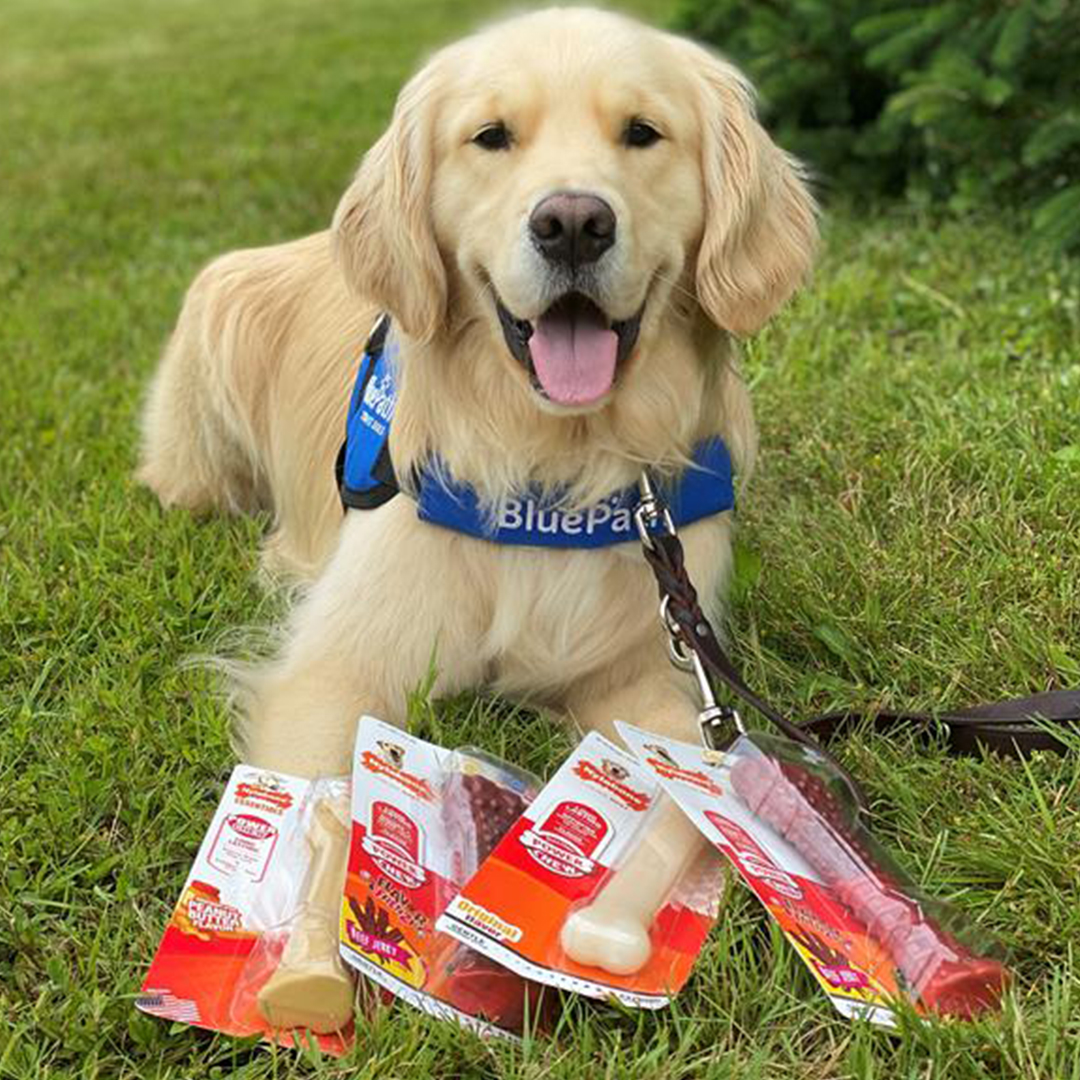 Nylabone Cares graphic