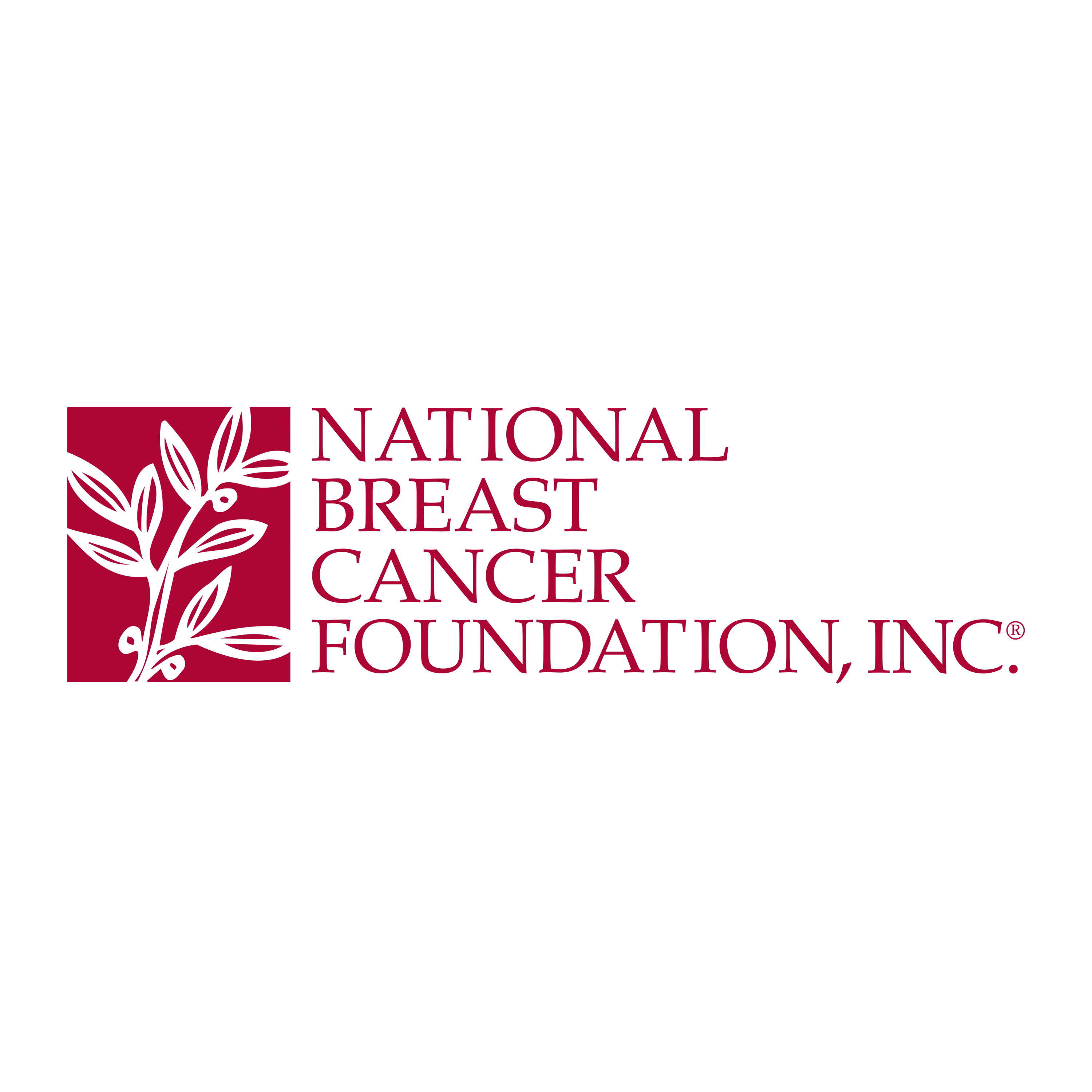 National Breast Cancer Foundation logo