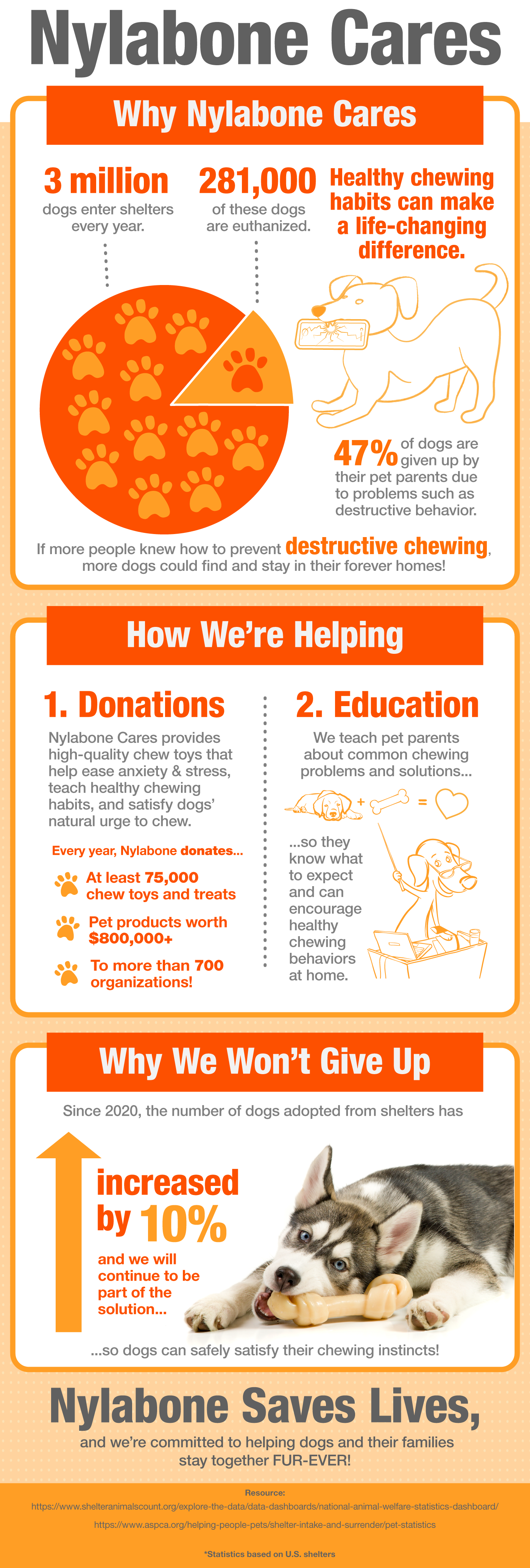 Where Can I Donate Dog Toys? Top Charities to Help Pets Thrive