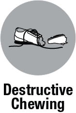 Destr_Chewing