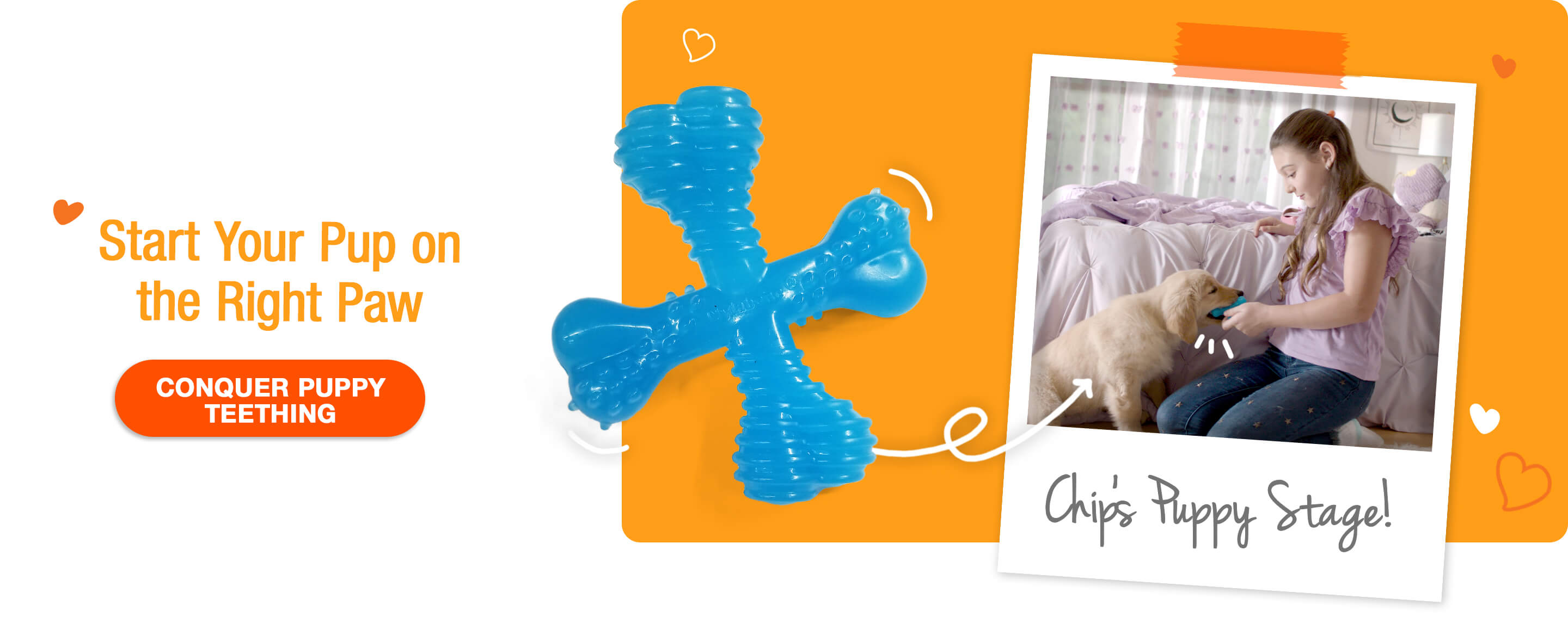 Start Your Pup on the Right Pup graphic with Polaroid photo and chew toy.
