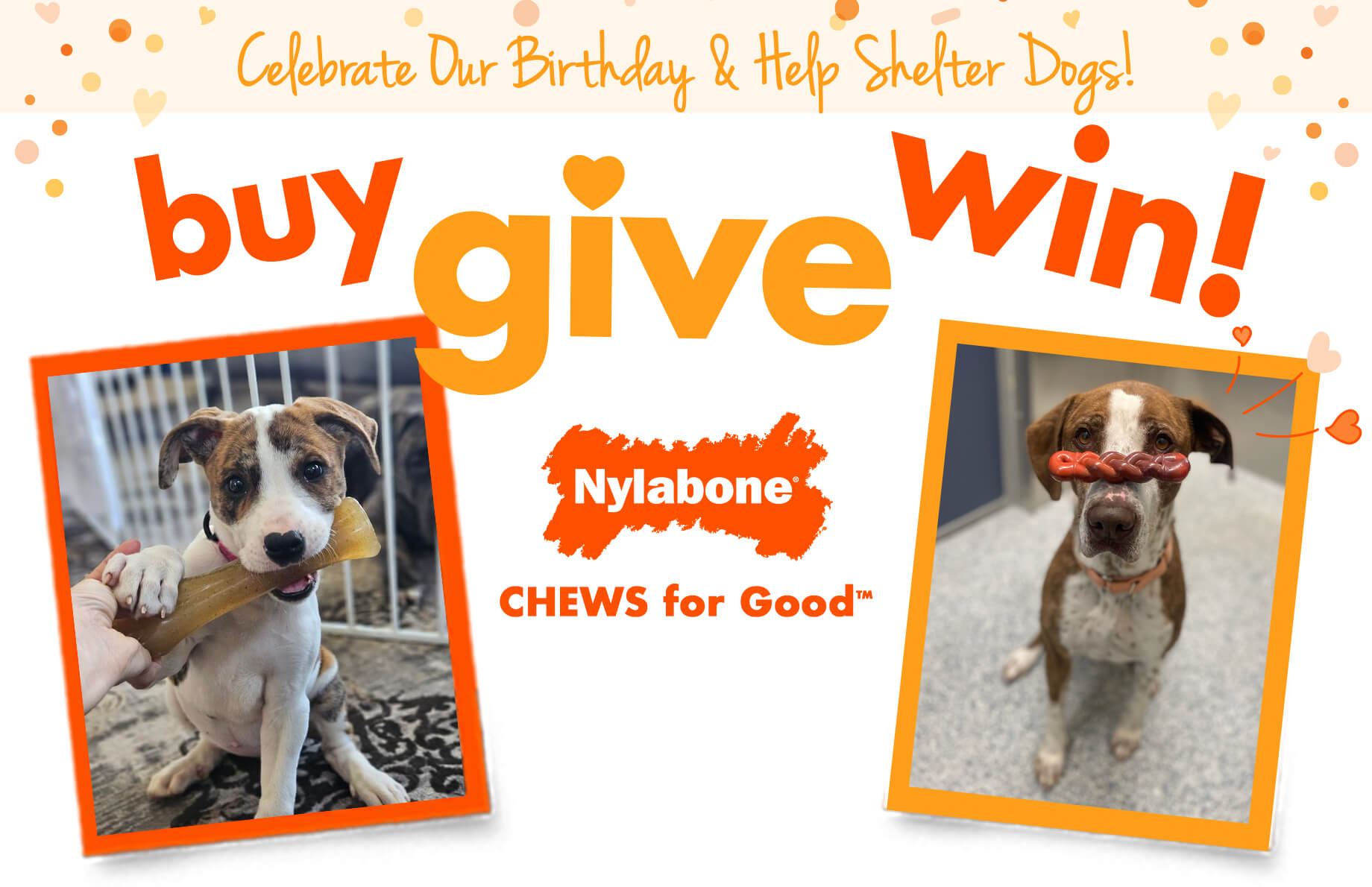 "Buy Give Win!" graphic showing two Polaroid photos of dogs with their chew toys.