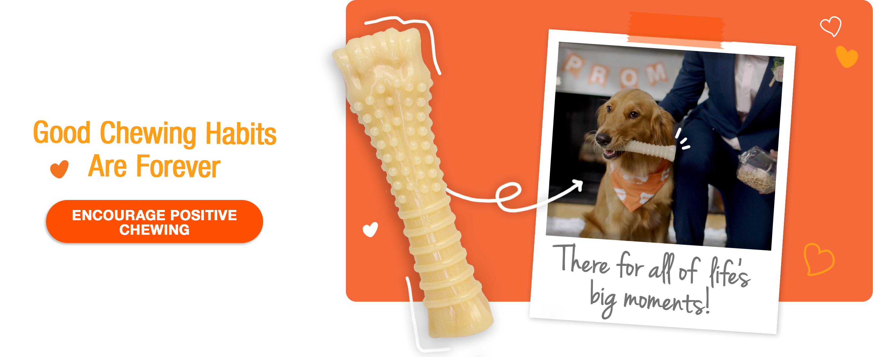 encourage positive chewing