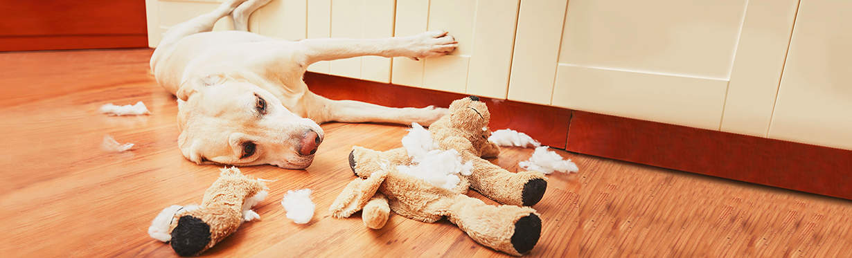 Toys for destructive dogs hotsell