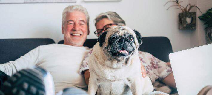 Grandparents with pug