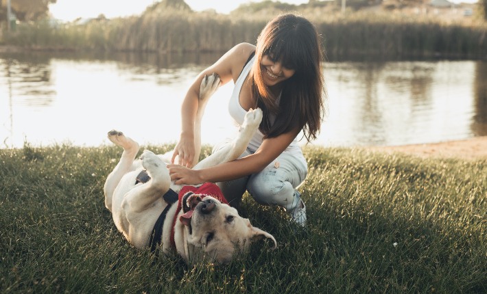 girl playing with dog in the grass