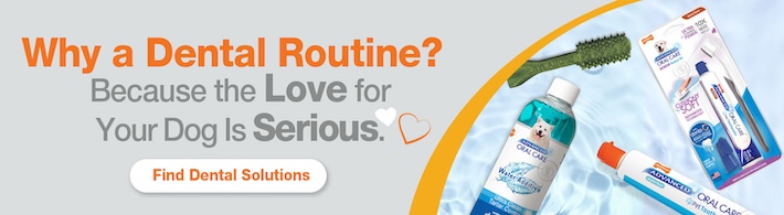 dental solutions banner