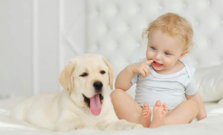 puppy-and-baby
