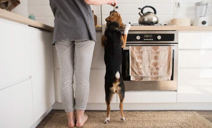 woman cooking with dog