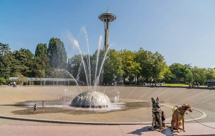 Dogs by foundation in Seattle