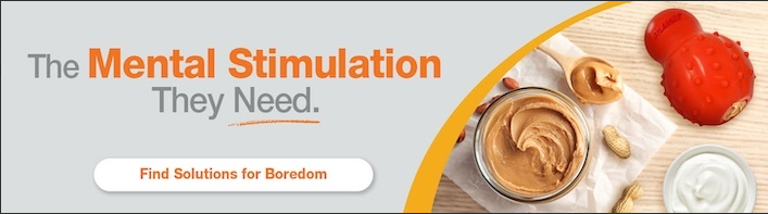 solutions for boredom banner