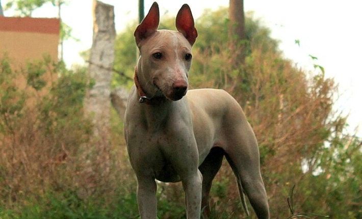 Jonangi standing outside