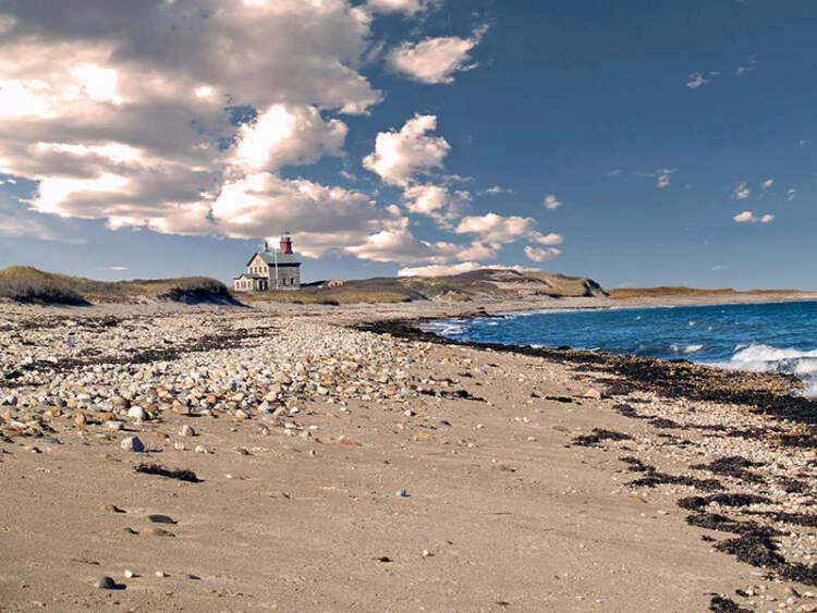 Dog friendly vacations shop east coast