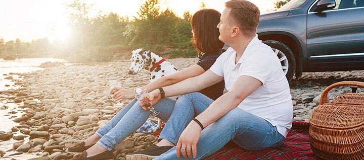 A couple and their dalmation looking at the sunset.