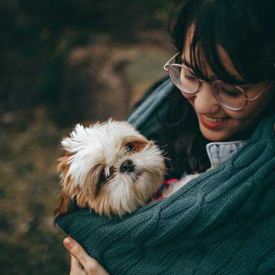 dog in a scarf
