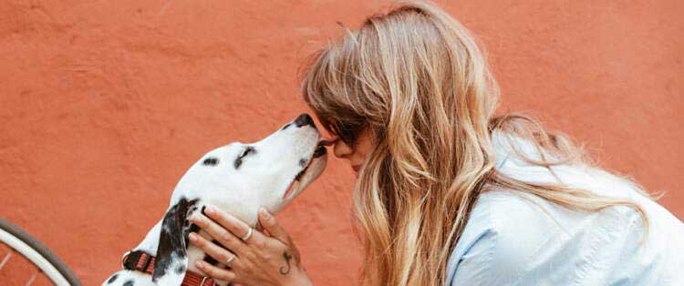 dog licking womans nose