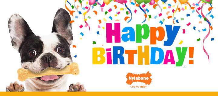 Happy Birthday! graphic with a dog holding a chew toy in its mouth.