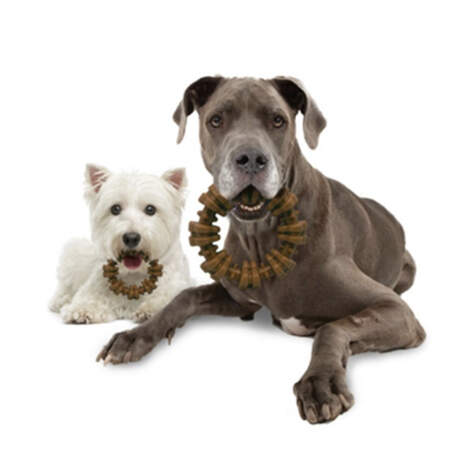 Your All in One Guide to the Best Types of Dog Toys Nylabone