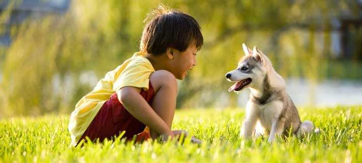 boy walking with dog on sidewalk