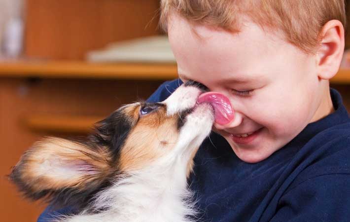 dog-licking-boys-face